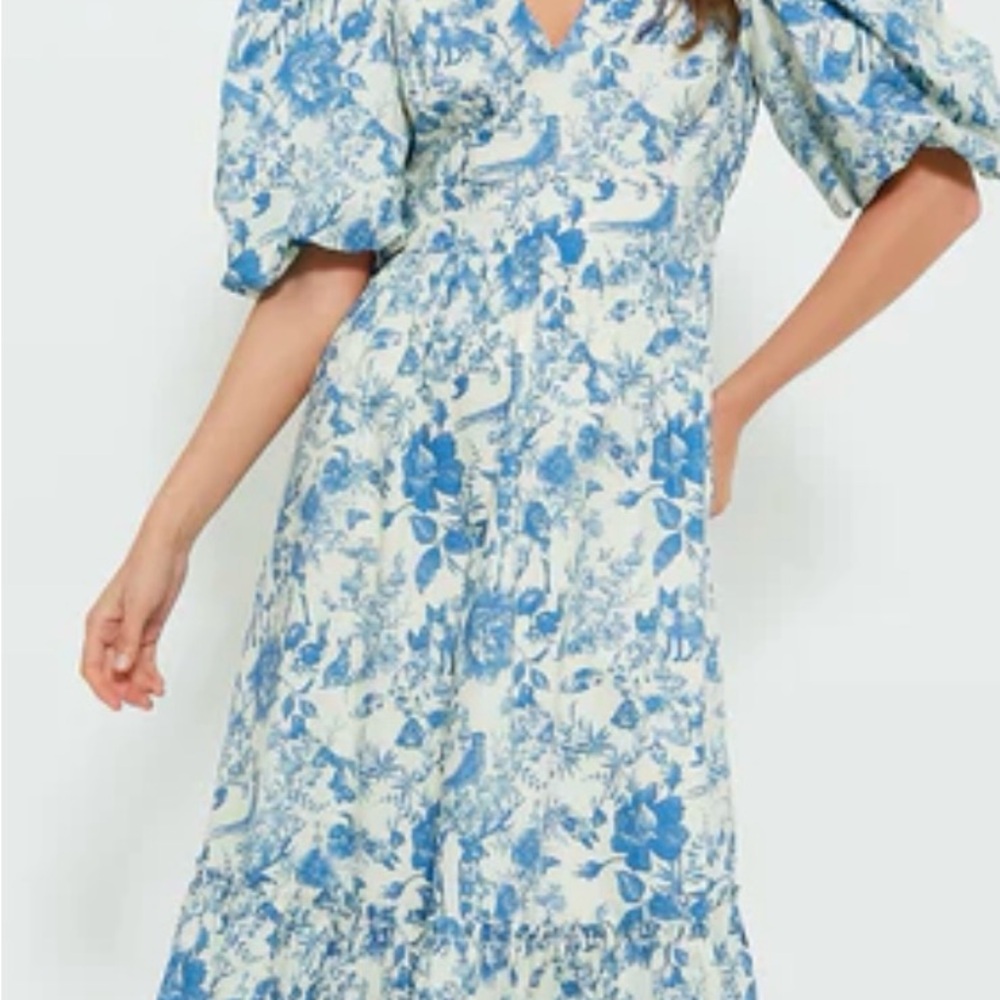 Floral Blue and White Dress